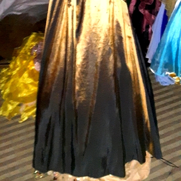 Rina DiMontella Silk Gown - Picture 5 of 10